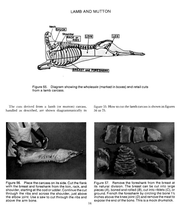The Master Guide to Home Butchering 12 books & 7 Charts on CD {PDF}