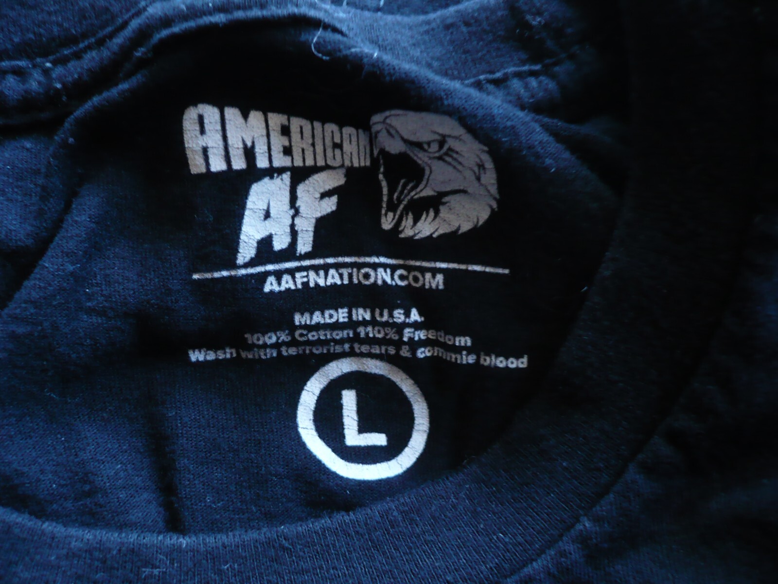 UNITED STATES SPACE FORCE, LARGE (L) 100%Cotton Lightly Used VINTAGE T-shirt TEE