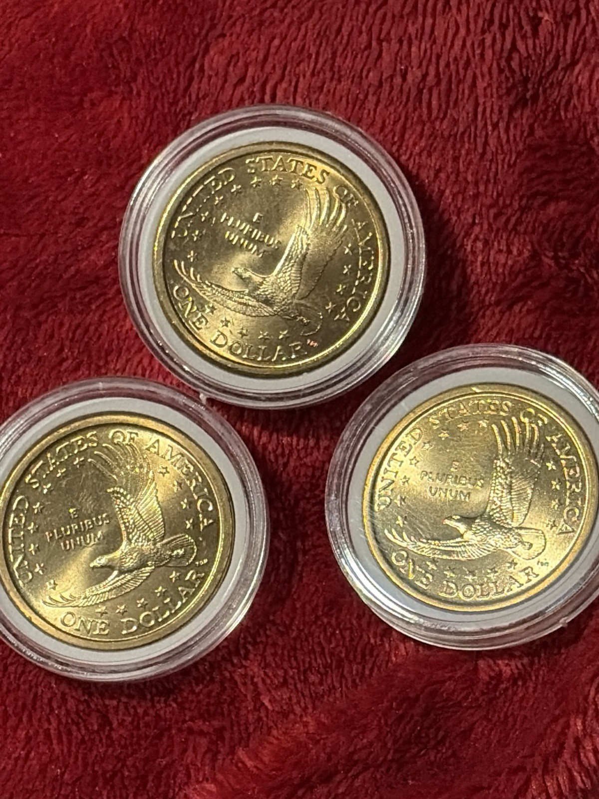 #659 UNC “2000 P” Lot of (3) $1.00 Sacagawea Native American Dollars MINT Coins