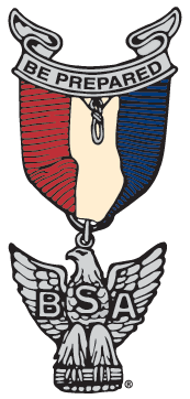 BSA eagle rank medal graphic