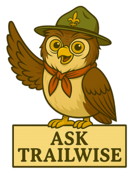 trailwise-the-owl